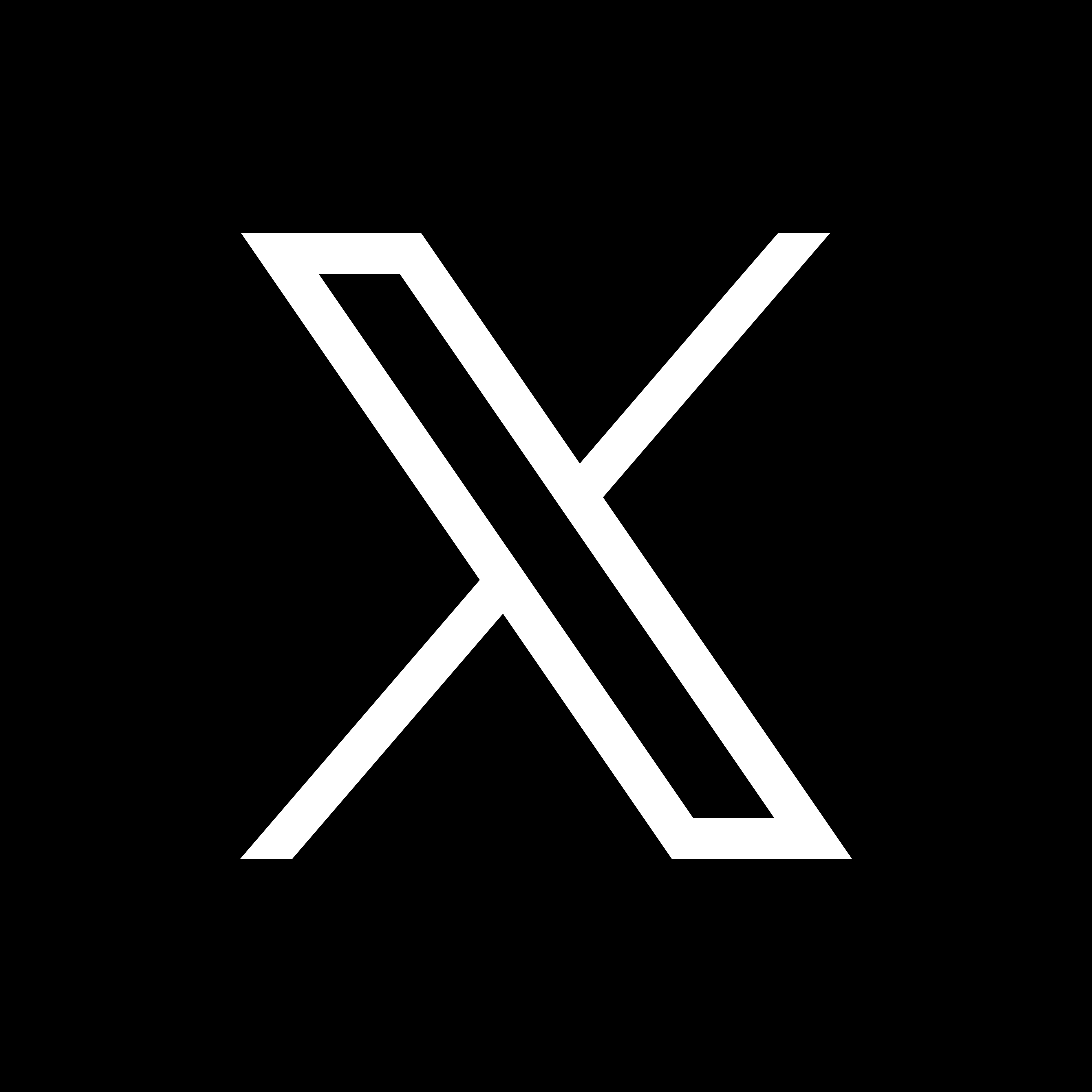 X(twitter) Logo